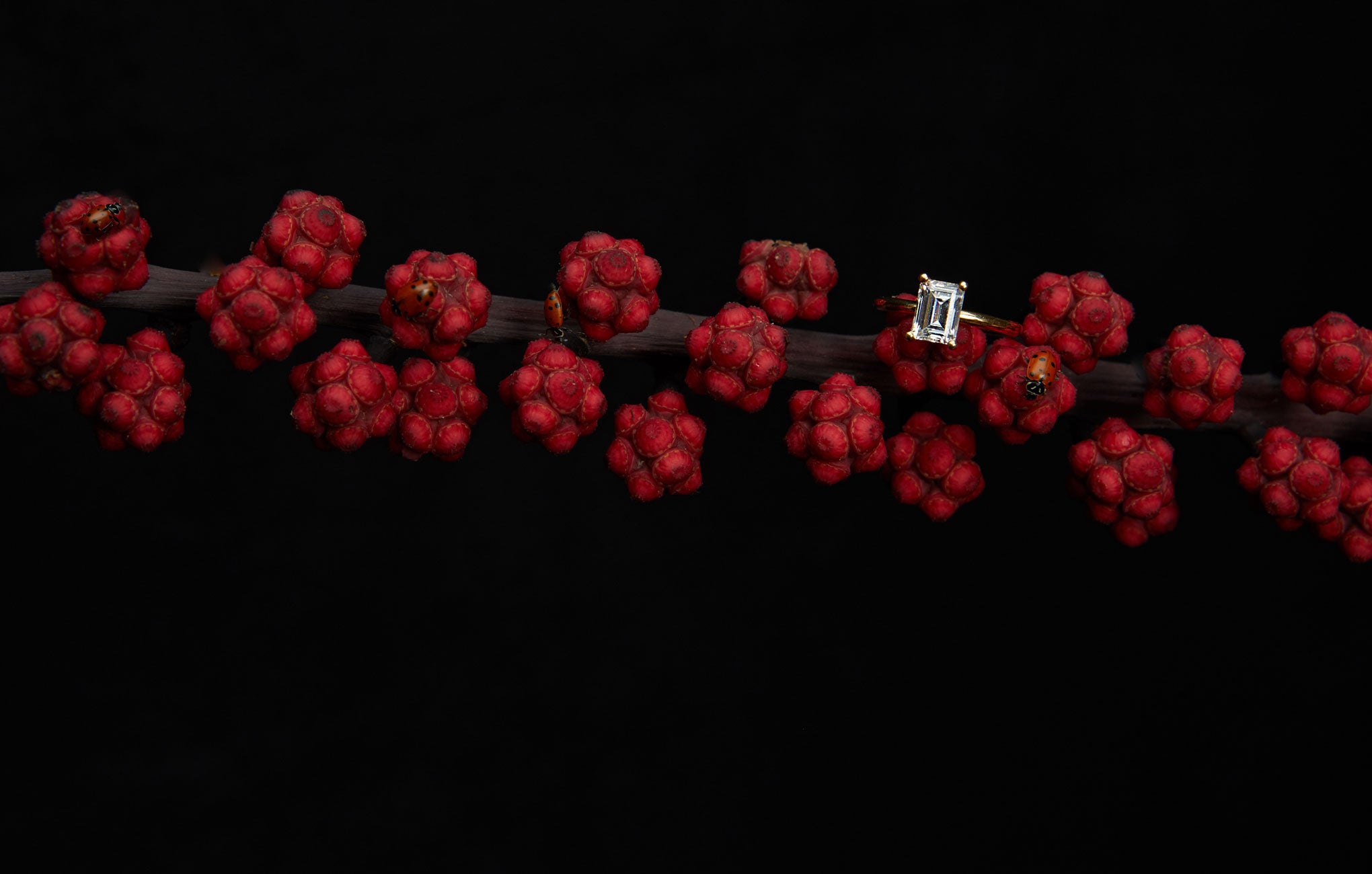 Bridal collection piece 6