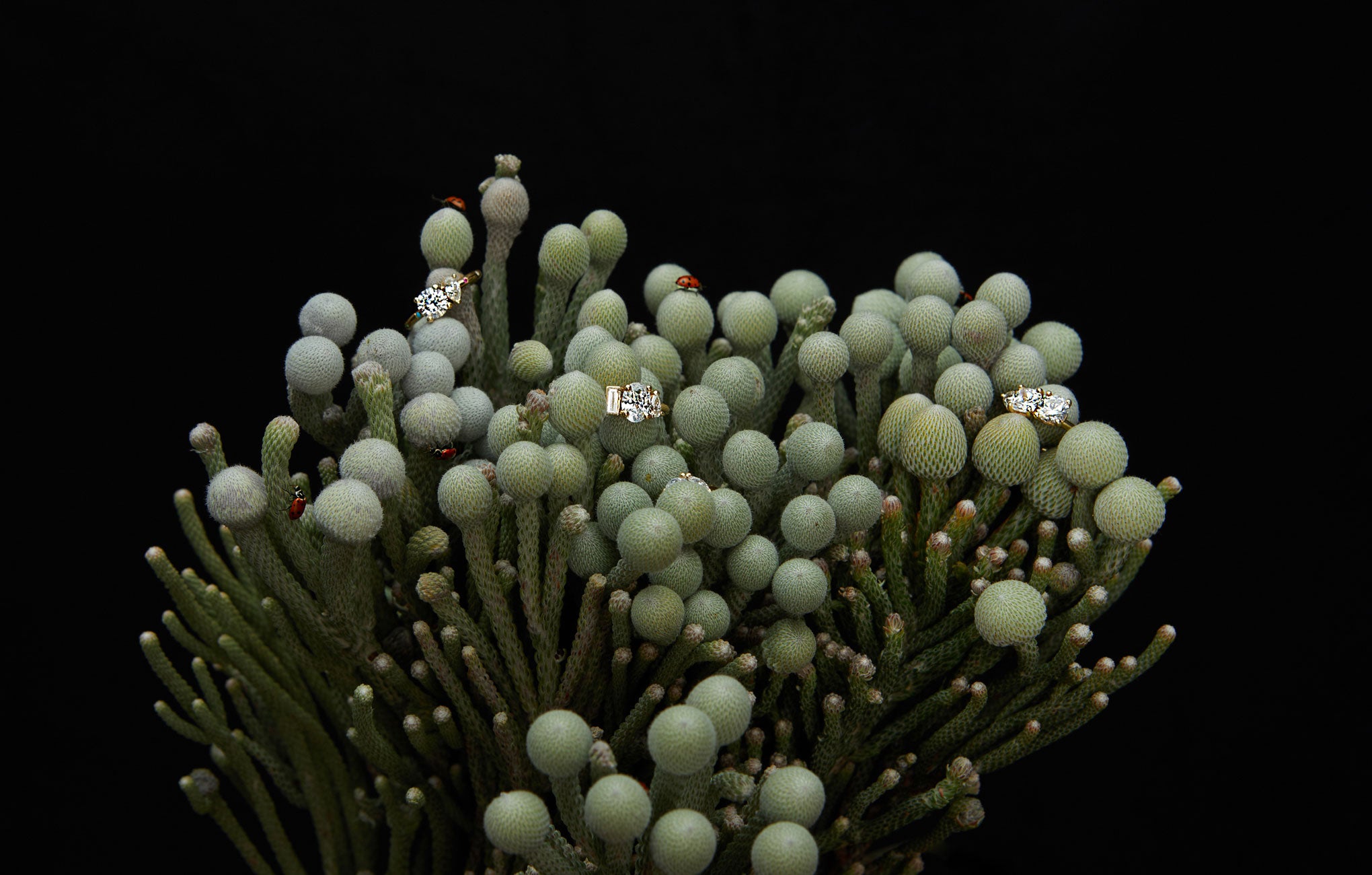 Bridal collection piece 8