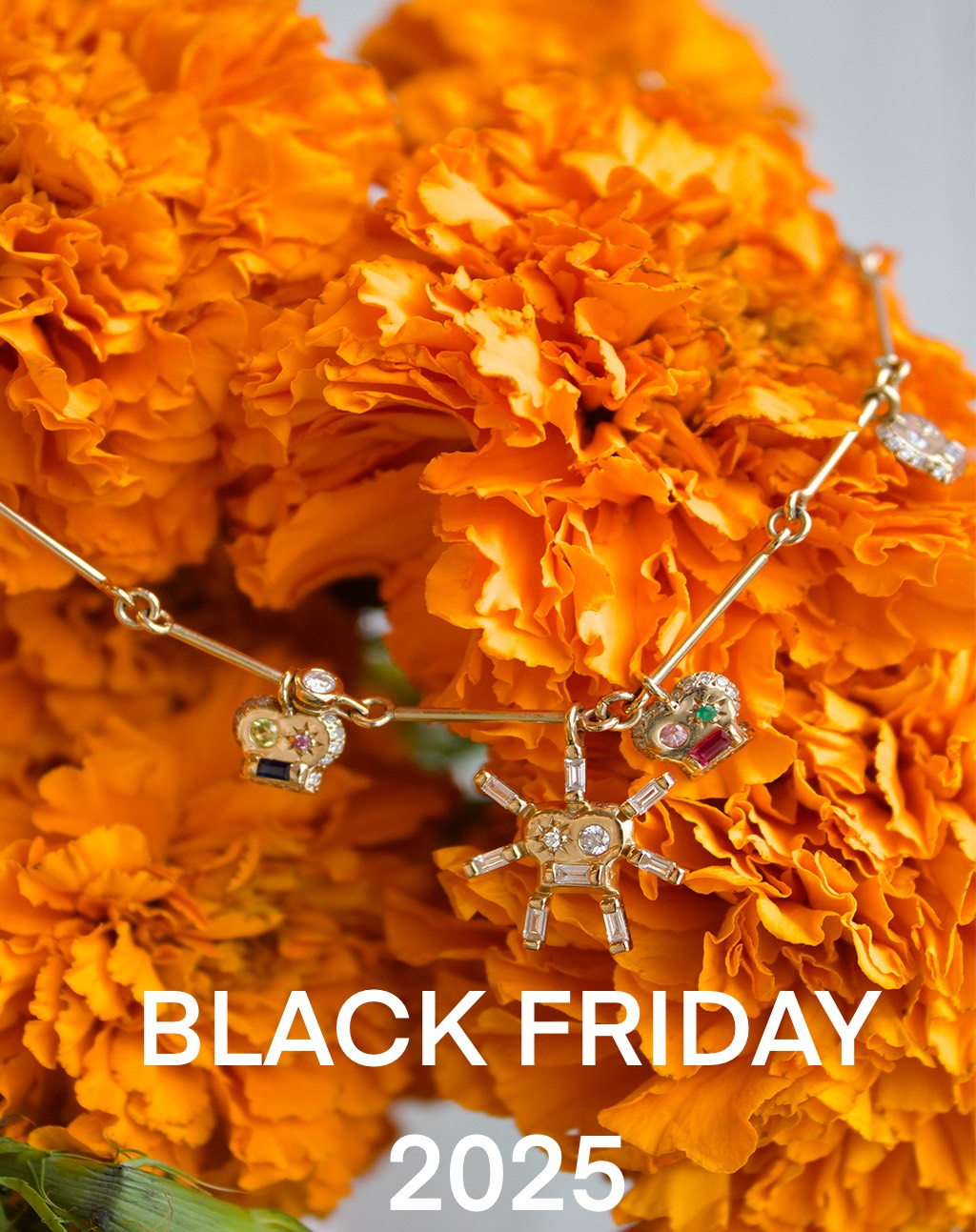 Black Friday  2025